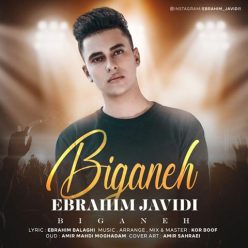 Ebrahim Javidi   –   Biganeh